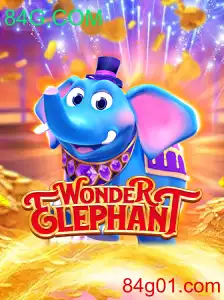 Descubra o Fascinante Mundo de WonderElephant